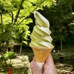 高千穂峡 高千穂町観光協会直営売店 - ミックスソフト