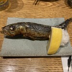 地下酒場 亜時戸 - 