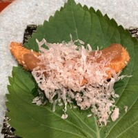 侘家古暦堂 祇園花見小路本店 -  侘家古暦堂 祇園花見小路本店 -