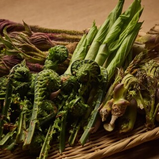 【山の幸】丹精込めて栽培・収穫した野菜や山菜
