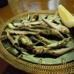 カフェ・タンブリング・ダイス