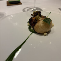 レフェルヴェソンス - 