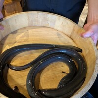 炭焼鰻 寝床 福島店 - 