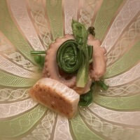 伯雲 - 明石　イイダコ　赤貝　平貝　こごみ　そら豆　蕨　タラの芽　菜の花　うるい