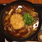 田中庵 - カレー南蛮。カマンベールてんぷらをトッピング。