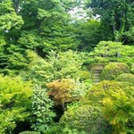 辻家庭園 - 離れより
