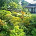 辻家庭園 - 離れより