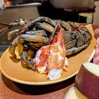 名駅 鉄板焼き 森本Ｘ Premium - 