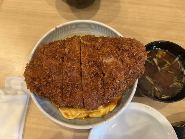 こまかつ HG豚やわらかカツ 60G 20食入: 冷凍調理品 KANTO EXPRESS
