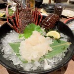 ざうお - 伊勢海老