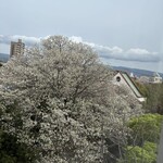 dilettante cafe - 3階から見える景色