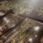 Yasai ga Oishii Restaurant LONGING HOUSE Karuizawa