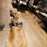 Yasai ga Oishii Restaurant LONGING HOUSE Karuizawa