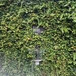 ル ジャルダン - 