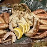 イカセンター新宿総本店 - 