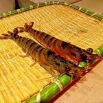 鮨 梵 - 活車海老