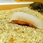 鮨 梵 - ヤリイカ