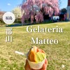 Gelateria Matteo ヨークパーク店