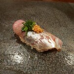 江戸心 山ぼうし - 