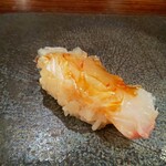 江戸心 山ぼうし - 