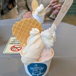 GELATERIA Angela - 料理写真:
