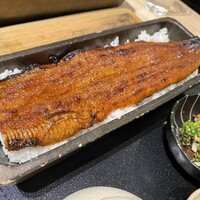 うなぎ四代目菊川 東京駅黒塀横丁店 - 
