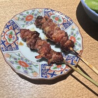 始祖鳥 - 