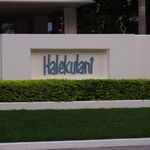 Orchids - ハレクラニ