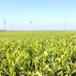 日本茶カフェ 元町テラス - 