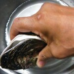 村中水産 - 牡蠣貝の先から貝柱を切る事は難しいですがこうして切り口を付ければ誰でも簡単＾＾おっと無粋な拳だこだなm(__)m