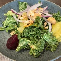 THE CONDER HOUSE -  THE CONDER HOUSE -