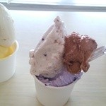 みるく畑 - 2014年８月ブルーベリーミルク、小倉、ショコラ塩