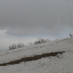 ギリガンズ アイランド - 