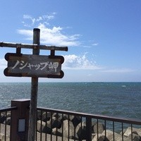 生粋 - 