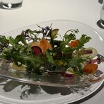 レフェルヴェソンス - 