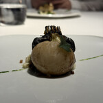 レフェルヴェソンス - 