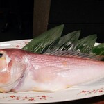 KOBAYASHI - キレイに半身にされた甘鯛さん