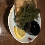 きんぱぎんぱ - 