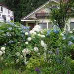 赤倉観光ホテル カフェテラス - 〜のパンを買って・・♡