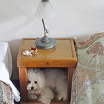 赤倉観光ホテル カフェテラス -  Good morning, Angelina