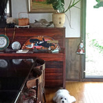 赤倉観光ホテル カフェテラス - ペンションの食堂 SINCE １９８７