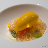 SIO syuji hijikuro - おまかせコース【2014年7月】