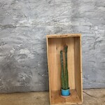 SPAICE COFFEE HOUSE - 