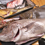 夜寄 - 長崎平戸より直送の鮮魚達