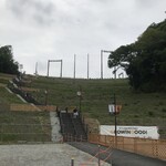 ジャイアンツタウンスタジアム売店 - 300段階段で行く♪