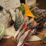 みなみ丸 合歓 - 