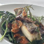 ツキ シュール ラメール - 