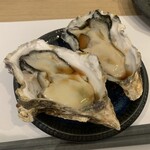 クラフトサワーと二度寝マグロ ニケノシマ - 