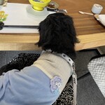 犬と人の和食 連 - 