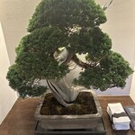 軽井沢 うなぎ四代目菊川 - 